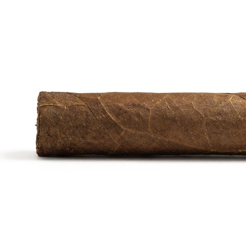Casa Turrent 1973 Robusto Cigar - 1 Single